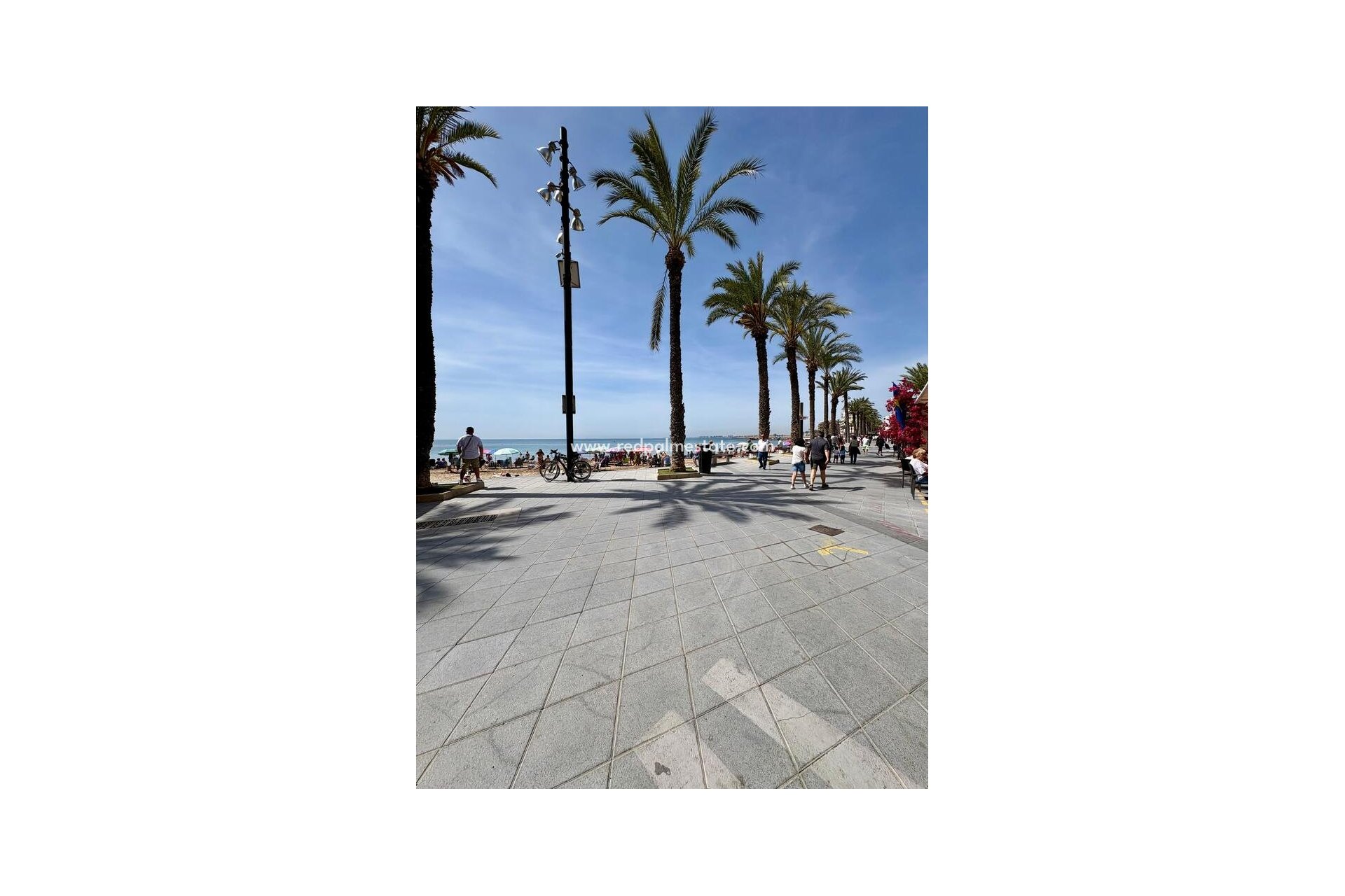 Reventa - Apartamento -
Torrevieja