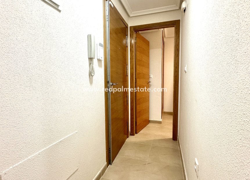 Reventa - Apartamento -
Torrevieja