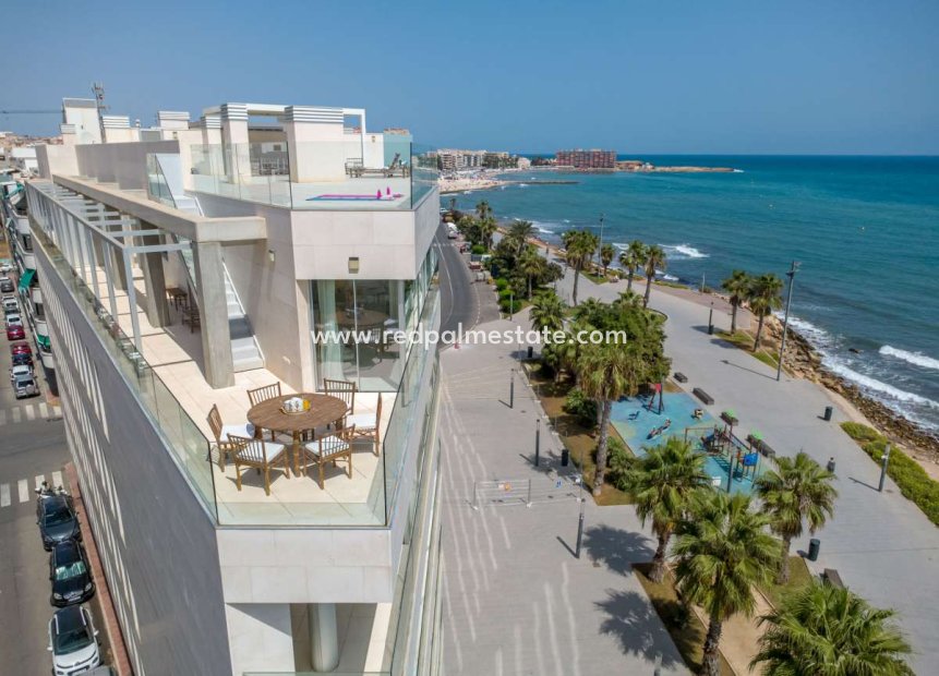 Reventa - Apartamento -
Torrevieja