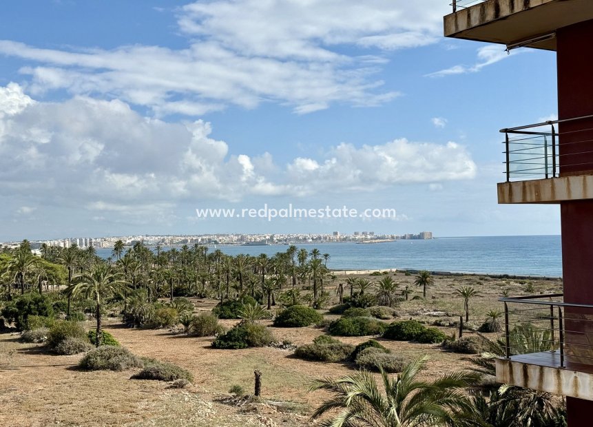 Reventa - Apartamento -
Torrevieja