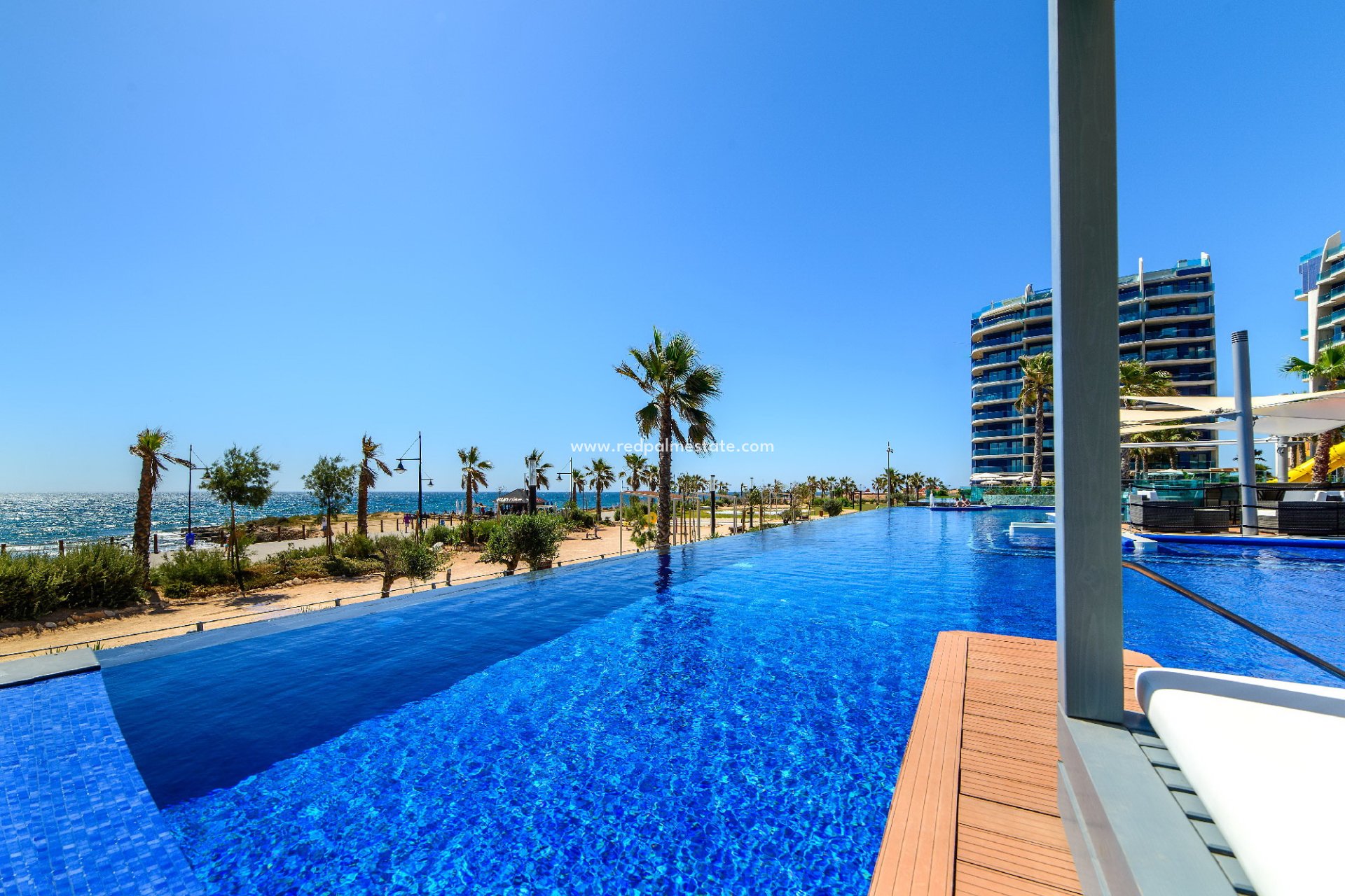 Reventa - Apartamento -
Torrevieja