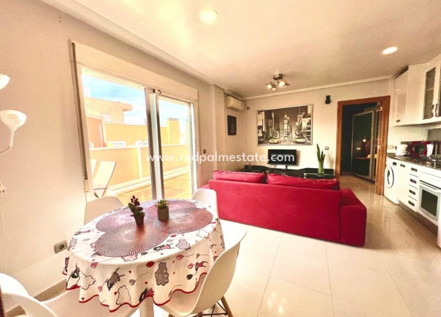 Reventa - Apartamento -
Torrevieja