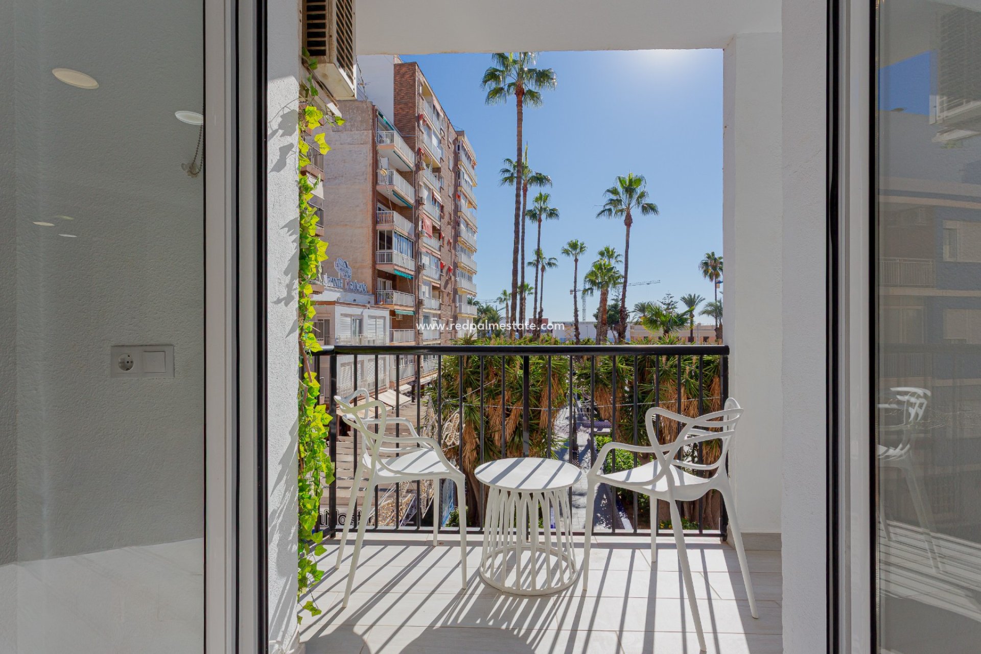 Reventa - Apartamento -
Torrevieja