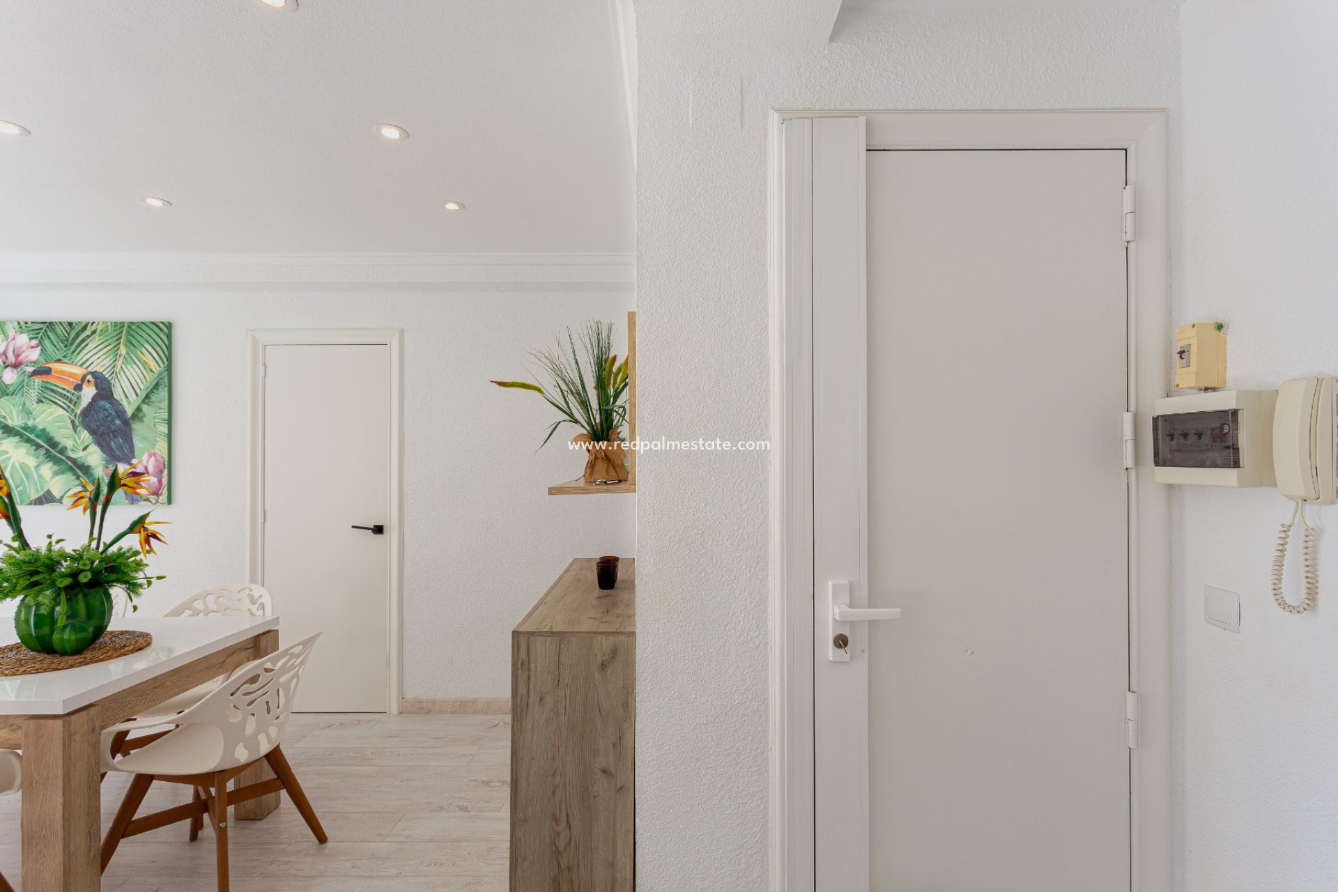 Reventa - Apartamento -
Torrevieja