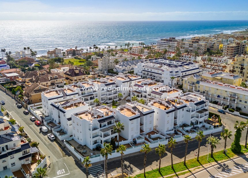 Reventa - Apartamento -
Torrevieja