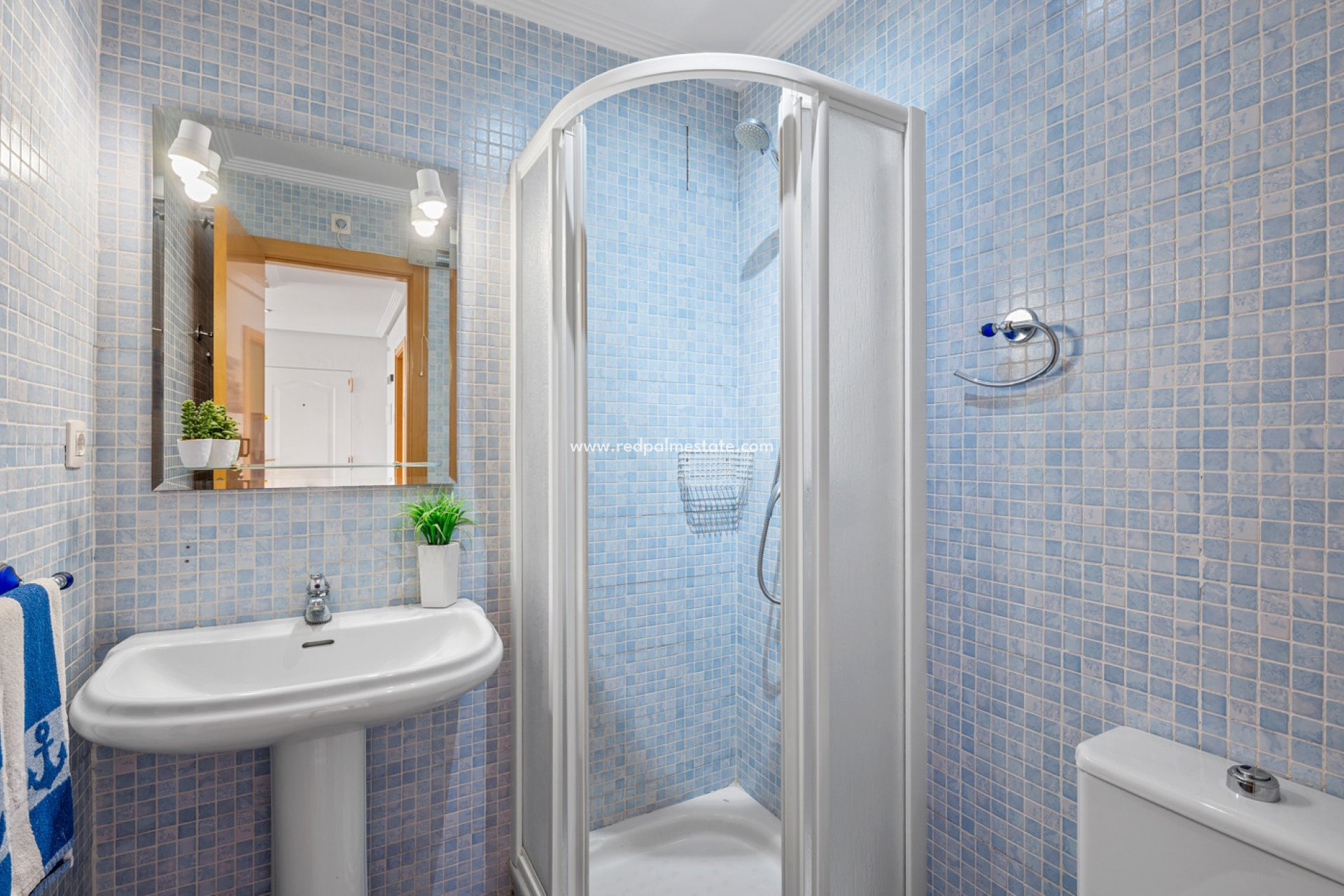 Reventa - Apartamento -
Torrevieja