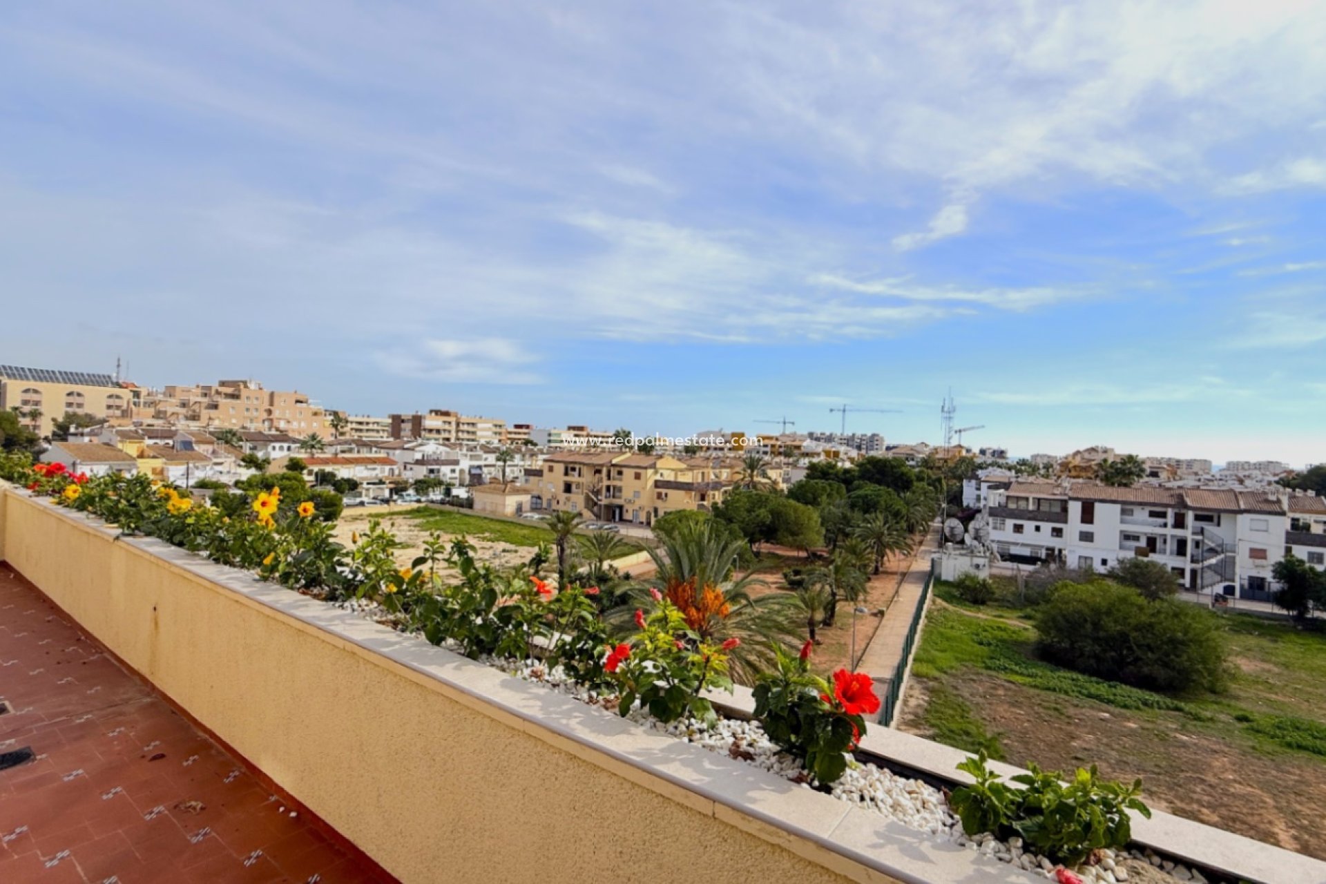 Reventa - Apartamento -
Torrevieja