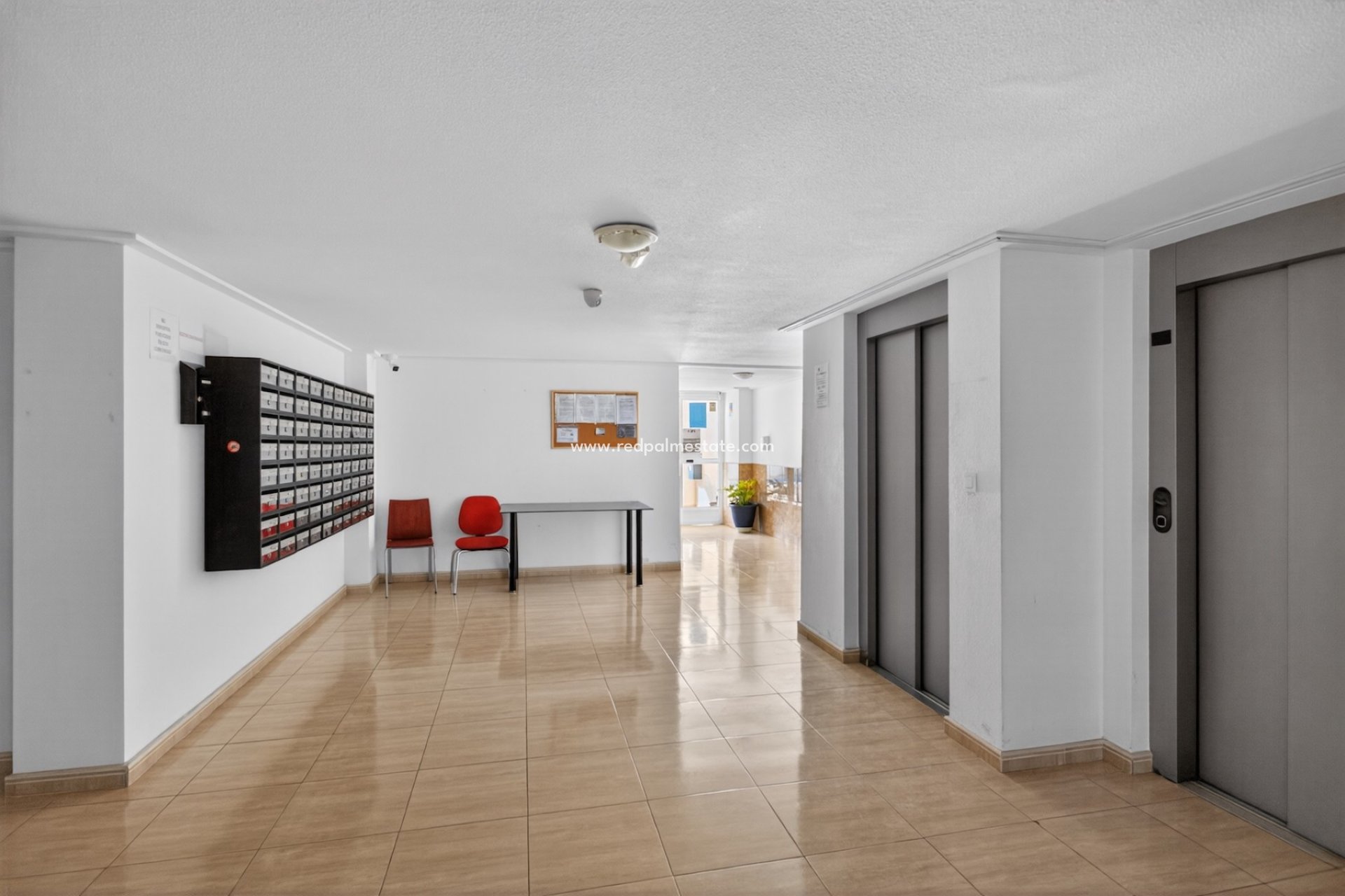 Reventa - Apartamento -
Torrevieja