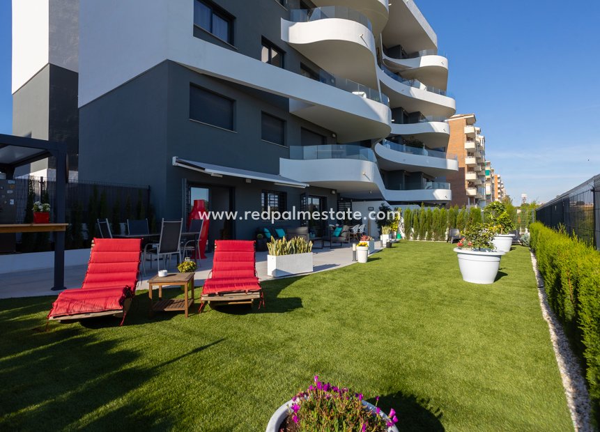 Reventa - Apartamento -
Torrevieja