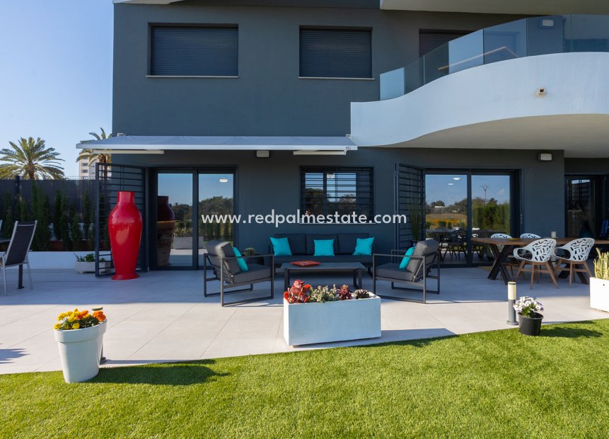 Reventa - Apartamento -
Torrevieja