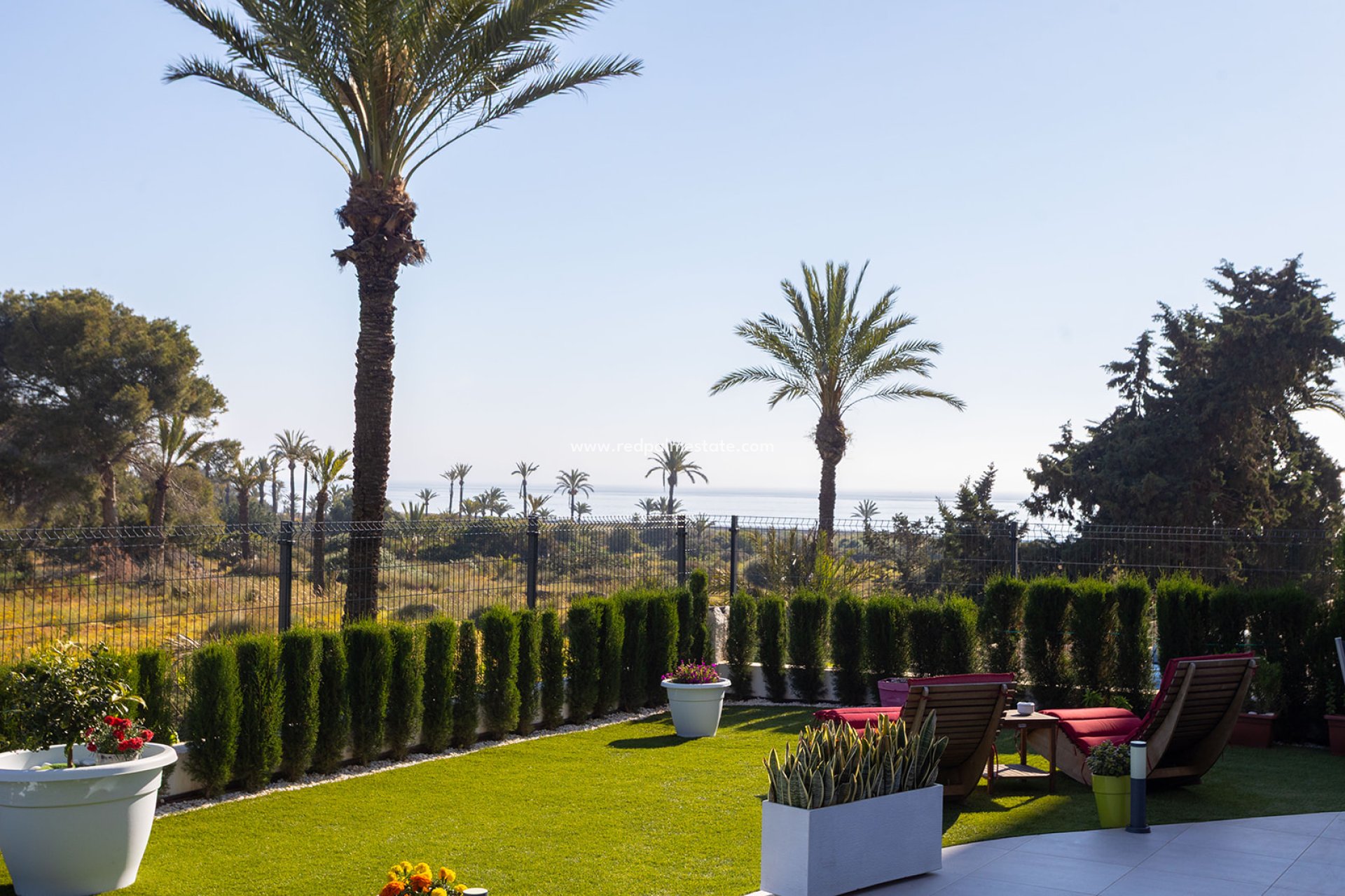 Reventa - Apartamento -
Torrevieja