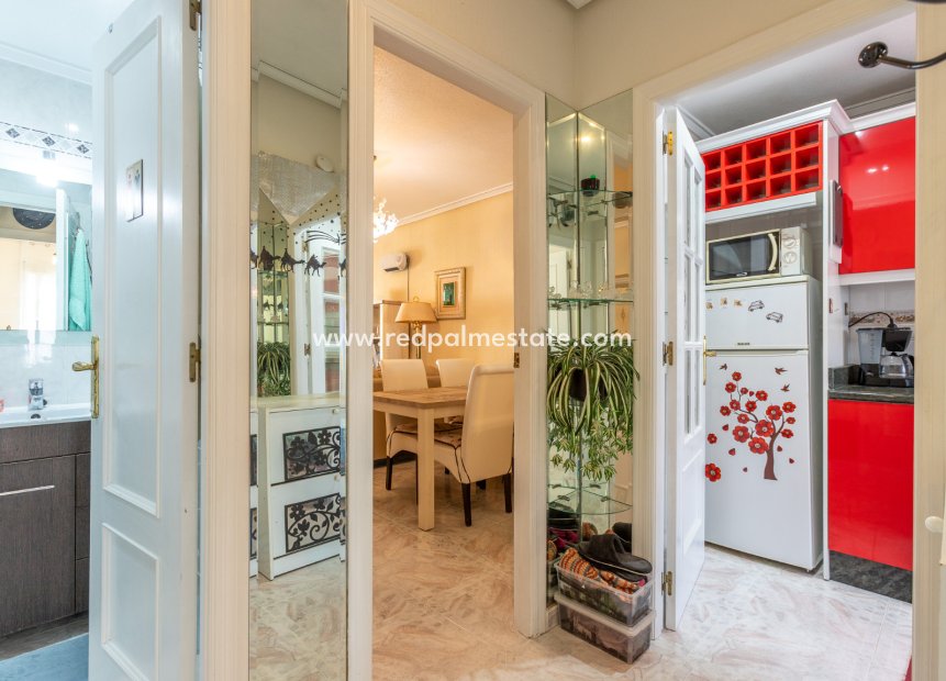 Reventa - Apartamento -
Torrevieja