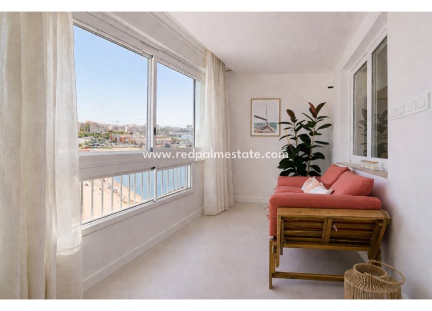 Reventa - Apartamento -
Torrevieja