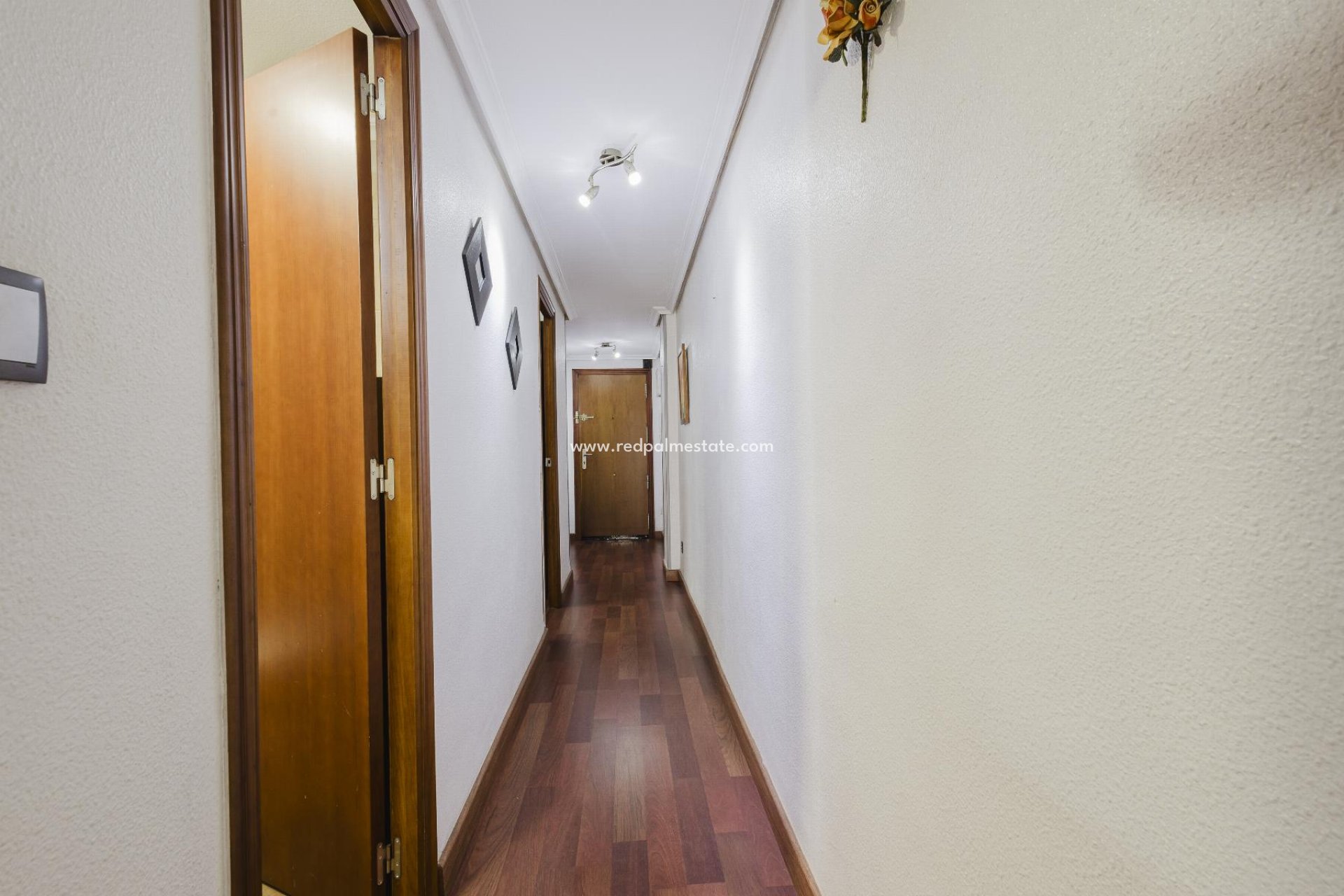 Reventa - Apartamento -
Torrevieja