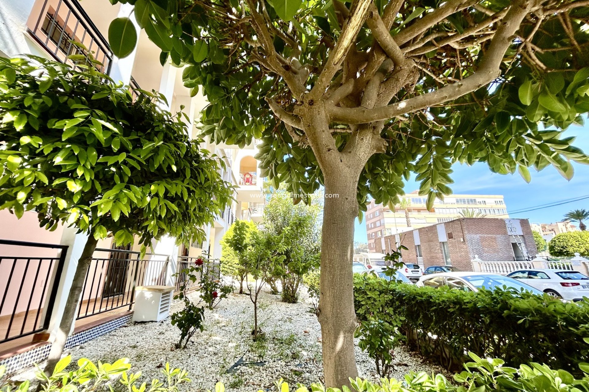 Reventa - Apartamento -
Torrevieja