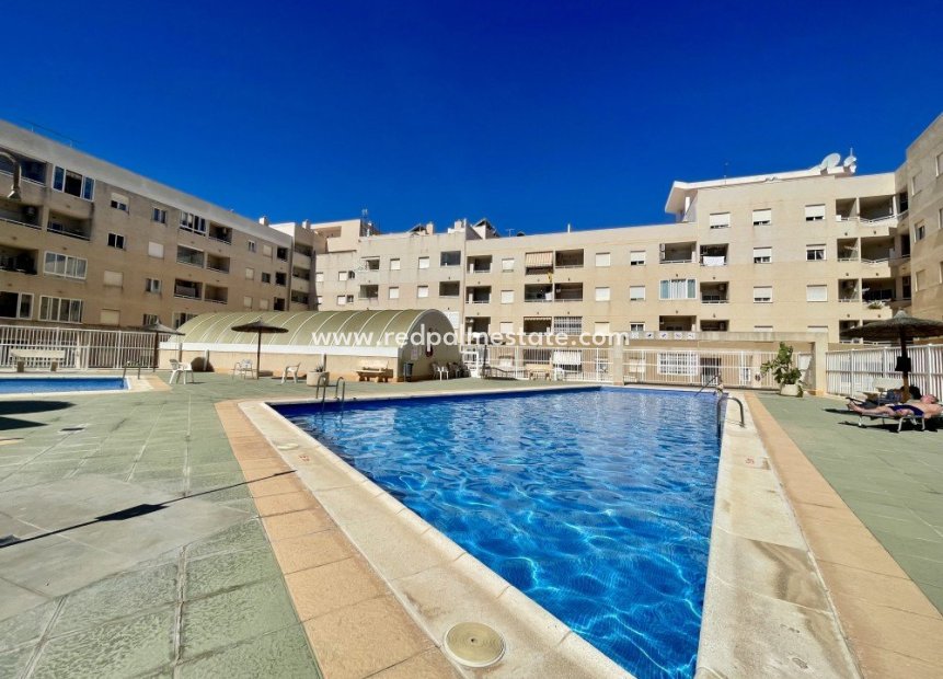 Reventa - Apartamento -
Torrevieja