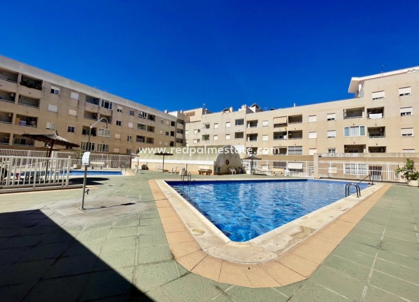 Reventa - Apartamento -
Torrevieja