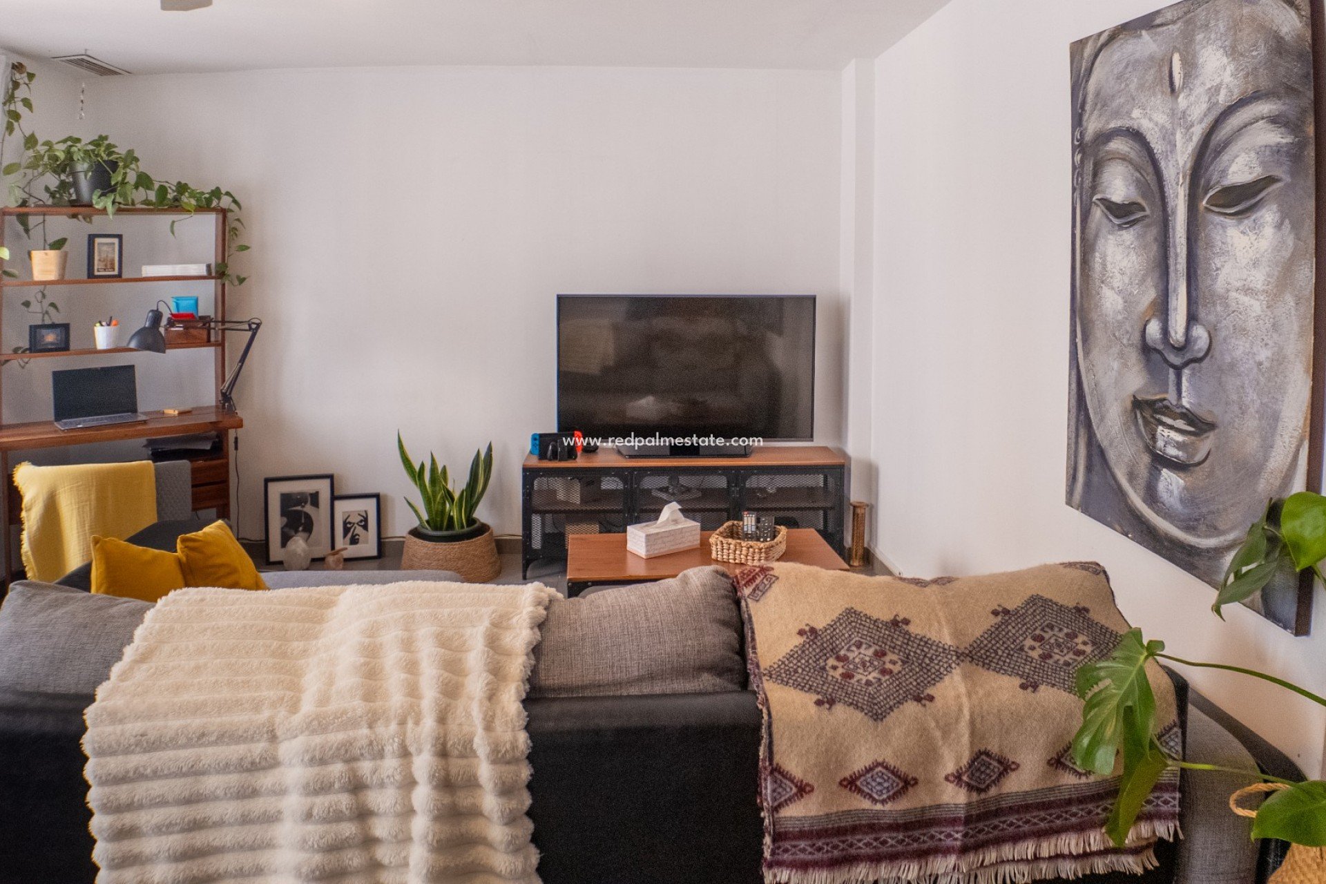 Reventa - Apartmentos -
Alicante - San Antón