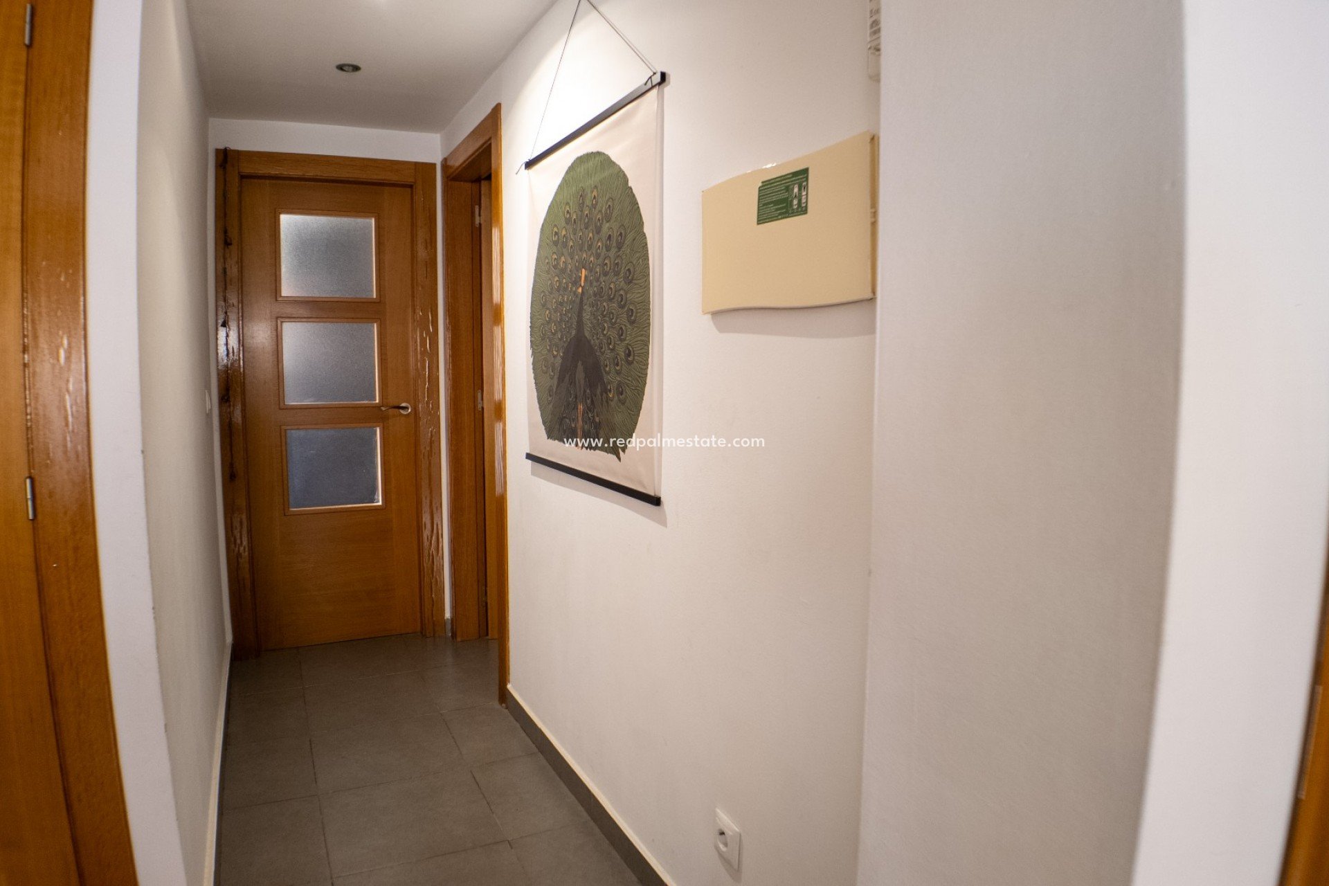 Reventa - Apartmentos -
Alicante - San Antón