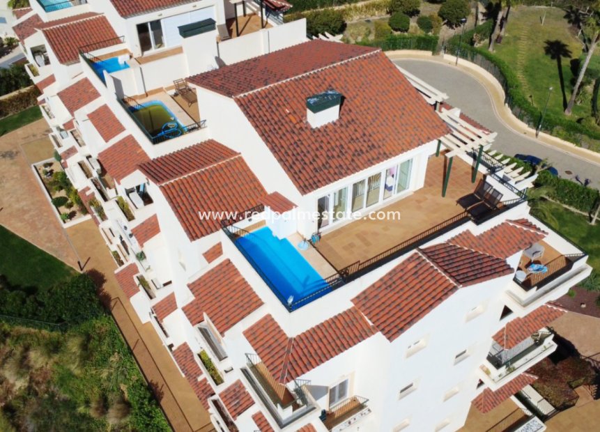 Reventa - Apartmentos -
Altea