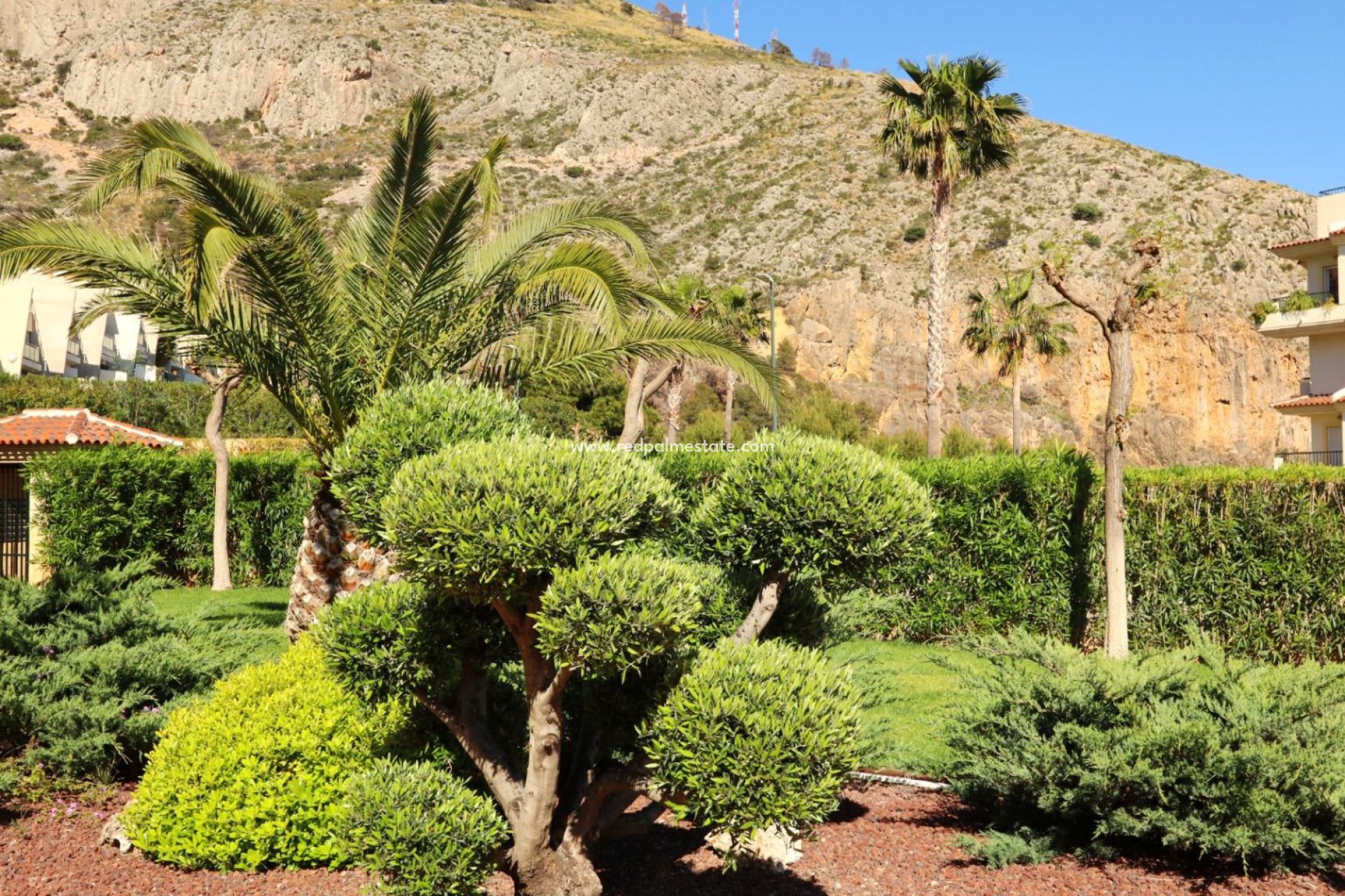 Reventa - Apartmentos -
Altea