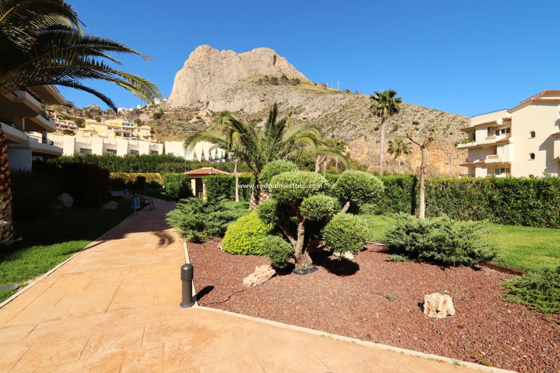Reventa - Apartmentos -
Altea