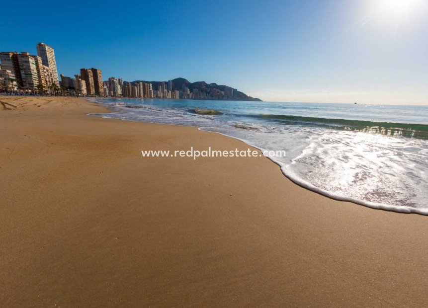 Reventa - Apartmentos -
Benidorm - Costa Blanca
