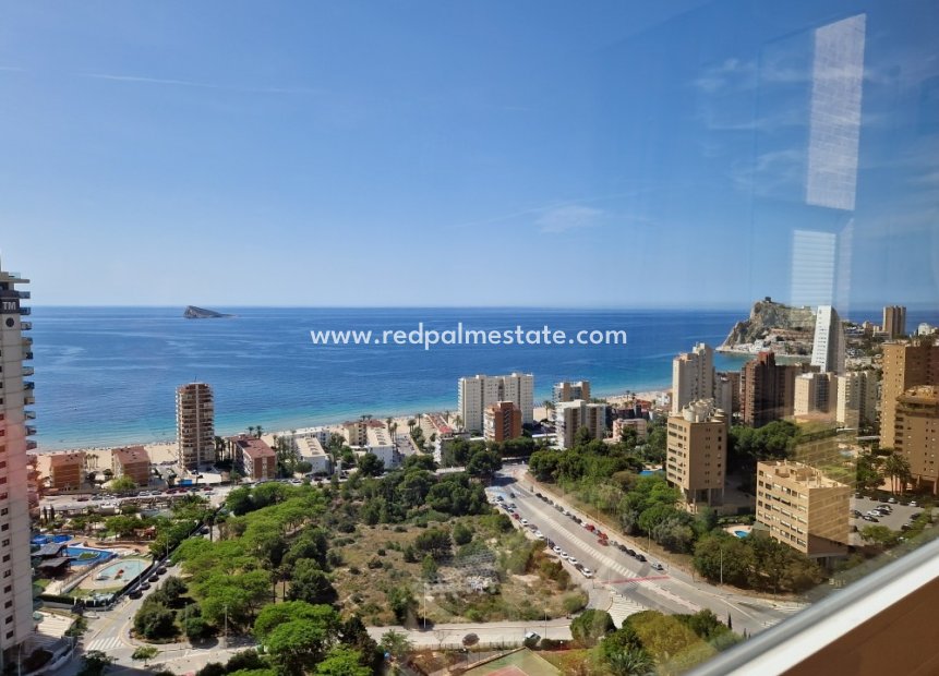 Reventa - Apartmentos -
Benidorm - Costa Blanca