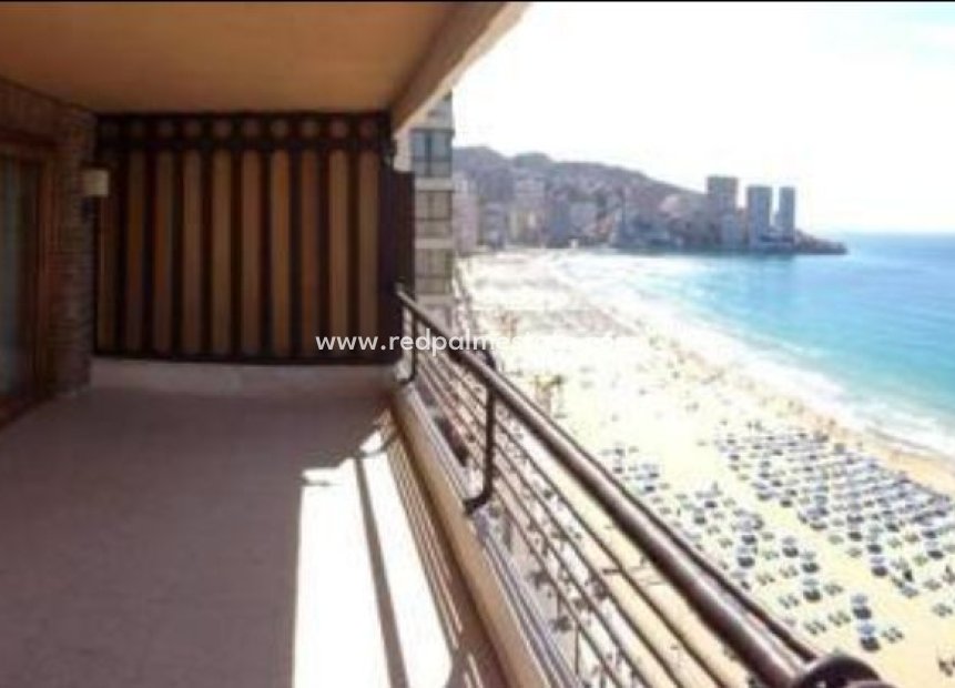 Reventa - Apartmentos -
Benidorm