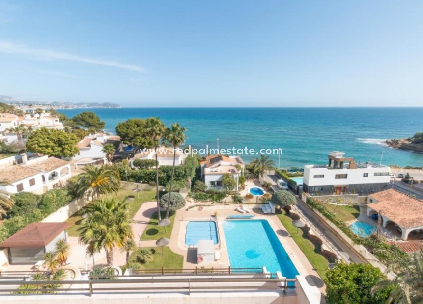 Reventa - Apartmentos -
Calpe