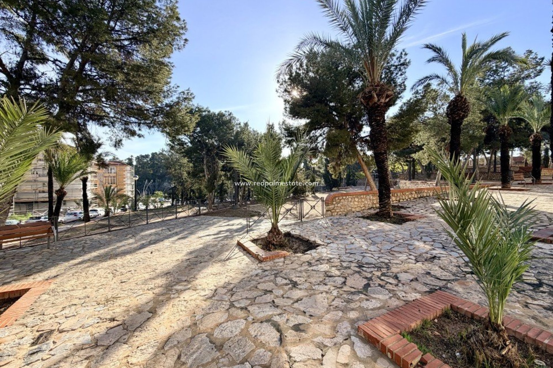 Reventa - Apartmentos -
Elche - Costa Blanca