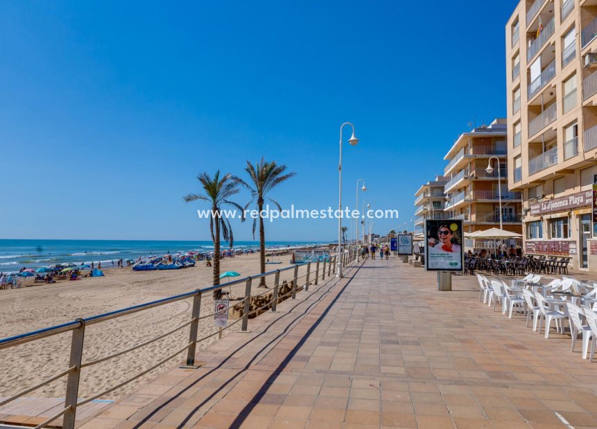 Reventa - Apartmentos -
Guardamar del Segura - CENTRO