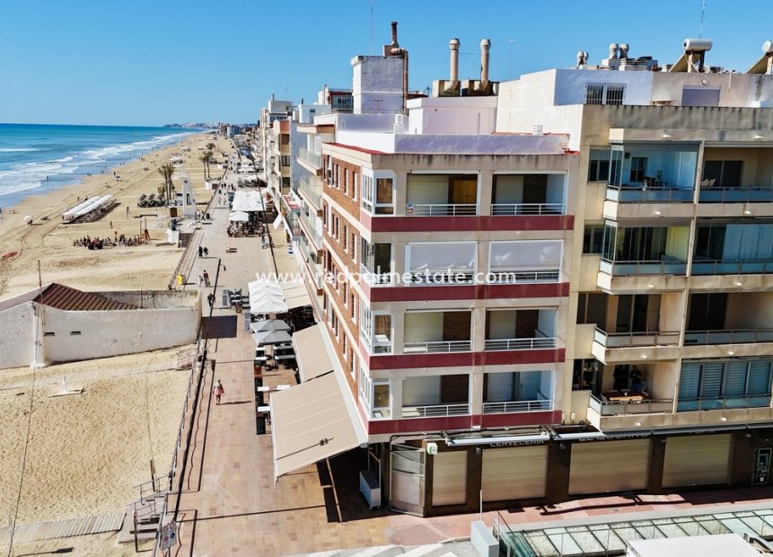 Reventa - Apartmentos -
Guardamar del Segura - Costa Blanca