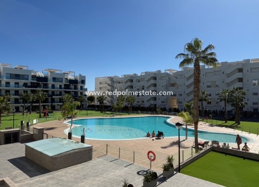 Reventa - Apartmentos -
Guardamar del Segura - Costa Blanca