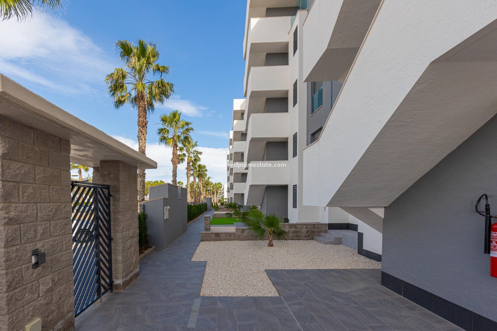 Reventa - Apartmentos -
Guardamar del Segura - El Raso