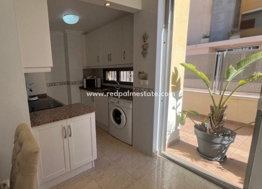 Reventa - Apartmentos -
Guardamar del Segura - Guardamar