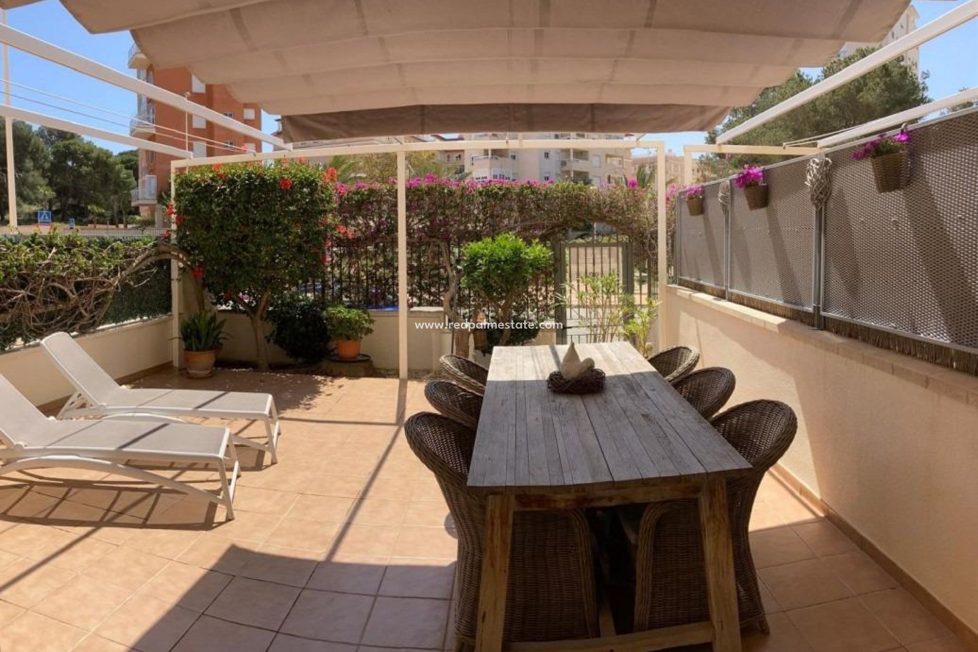 Reventa - Apartmentos -
Guardamar del Segura - Guardamar