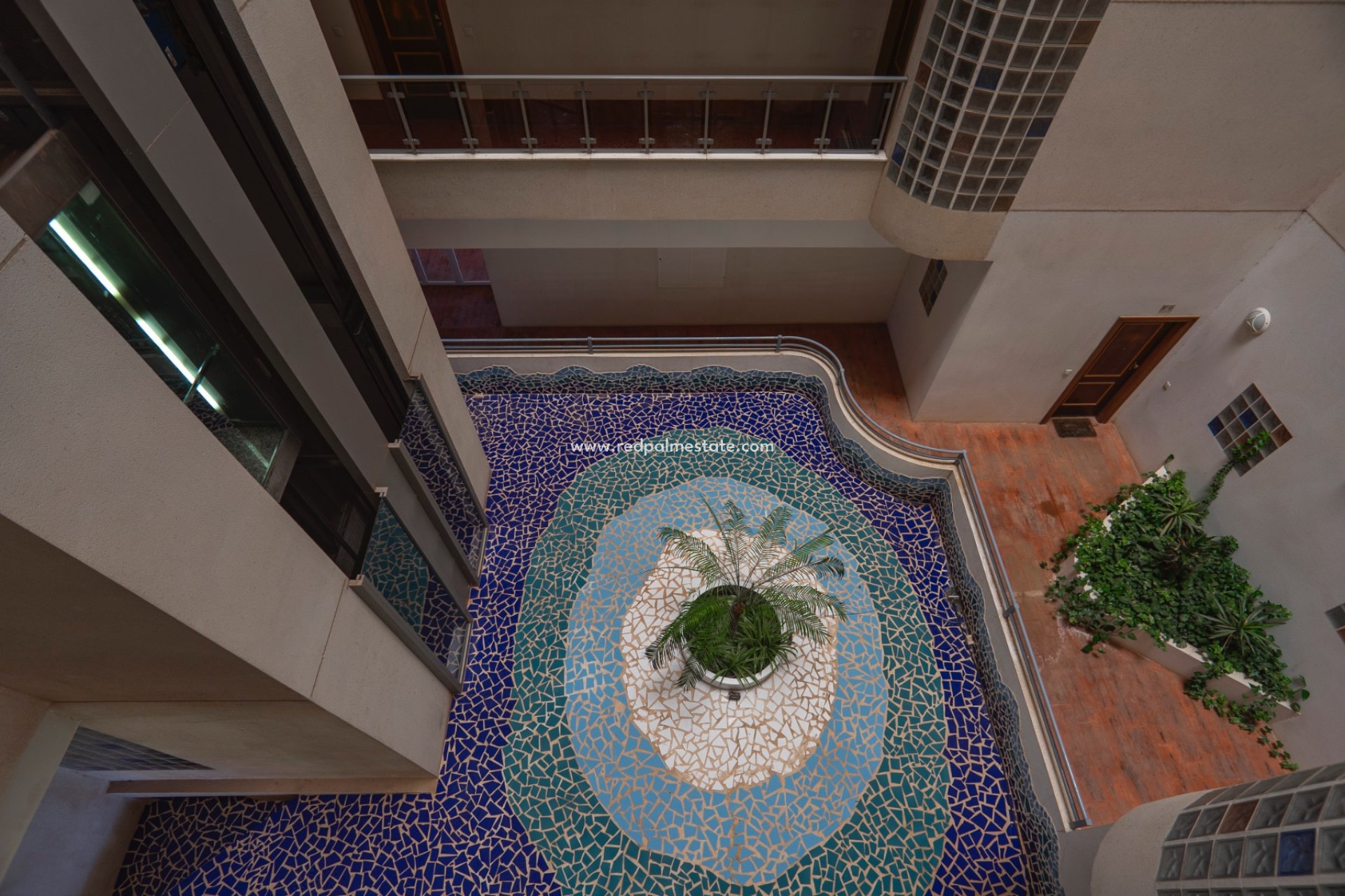 Reventa - Apartmentos -
Guardamar del Segura - Guardamar