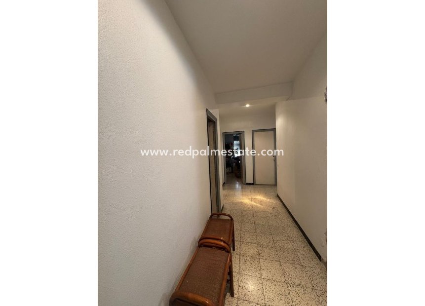 Reventa - Apartmentos -
Guardamar del Segura - Guardamar