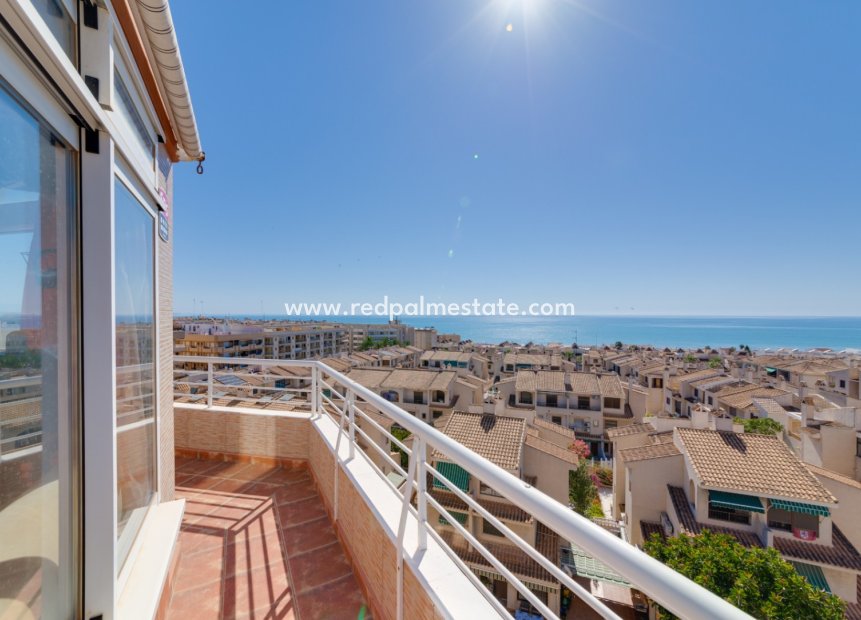 Reventa - Apartmentos -
Guardamar del Segura - Guardamar