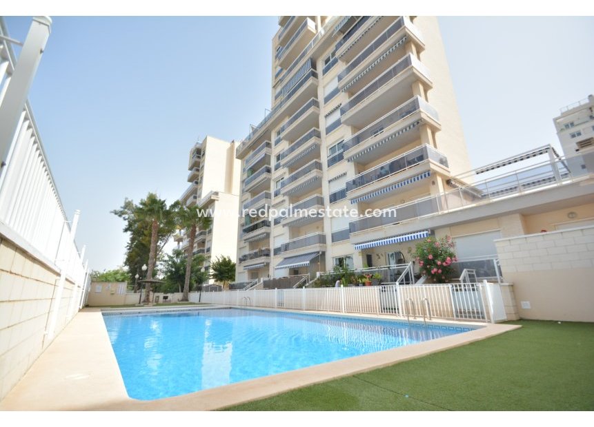 Reventa - Apartmentos -
Guardamar del Segura - Guardamar