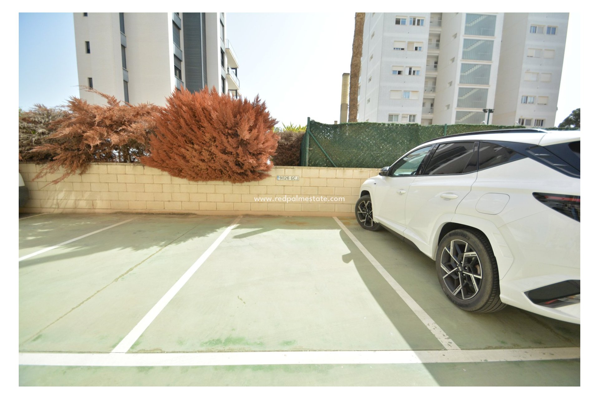 Reventa - Apartmentos -
Guardamar del Segura - Guardamar