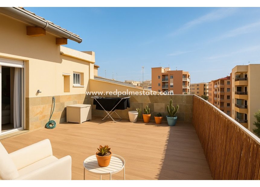 Reventa - Apartmentos -
Guardamar del Segura - Guardamar
