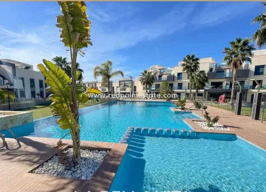 Reventa - Apartmentos -
Guardamar del Segura - Guardamar