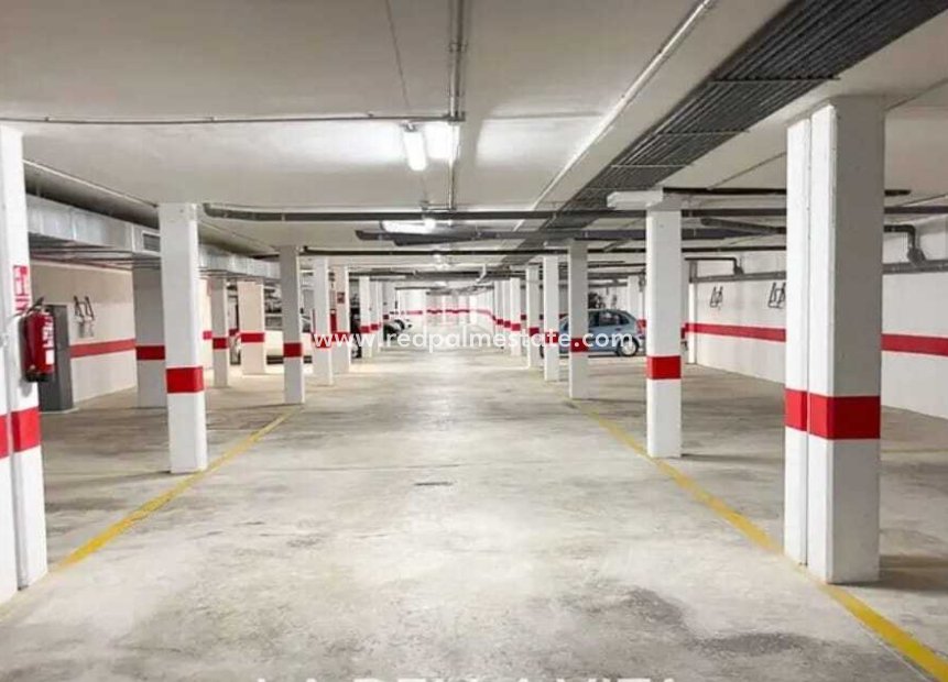 Reventa - Apartmentos -
Guardamar del Segura - Guardamar