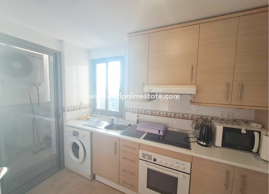 Reventa - Apartmentos -
Guardamar del Segura - Guardamar