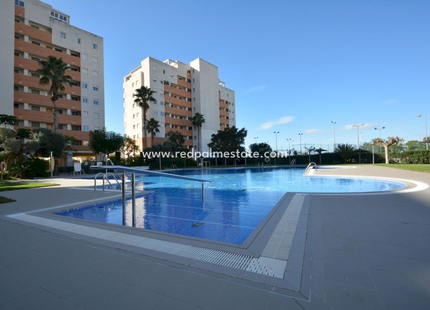 Reventa - Apartmentos -
Guardamar del Segura - Guardamar