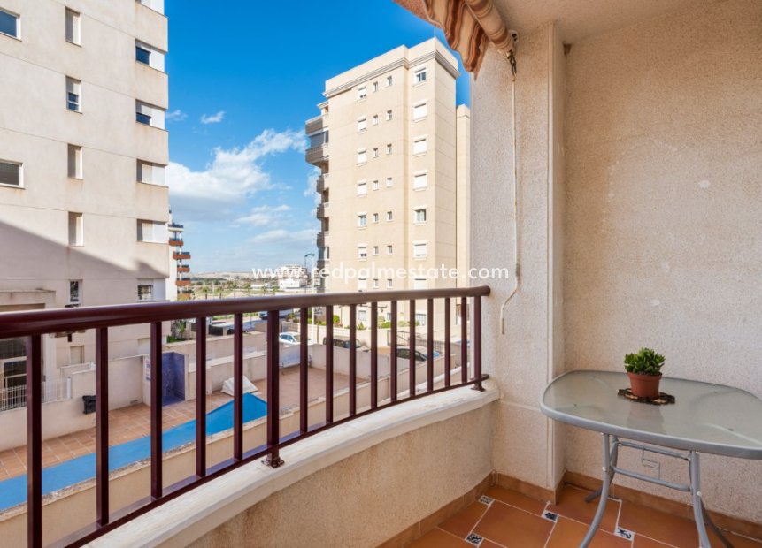 Reventa - Apartmentos -
Guardamar del Segura - Guardamar