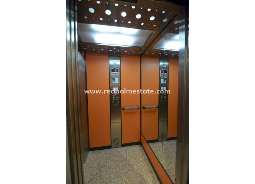 Reventa - Apartmentos -
Guardamar del Segura - Guardamar