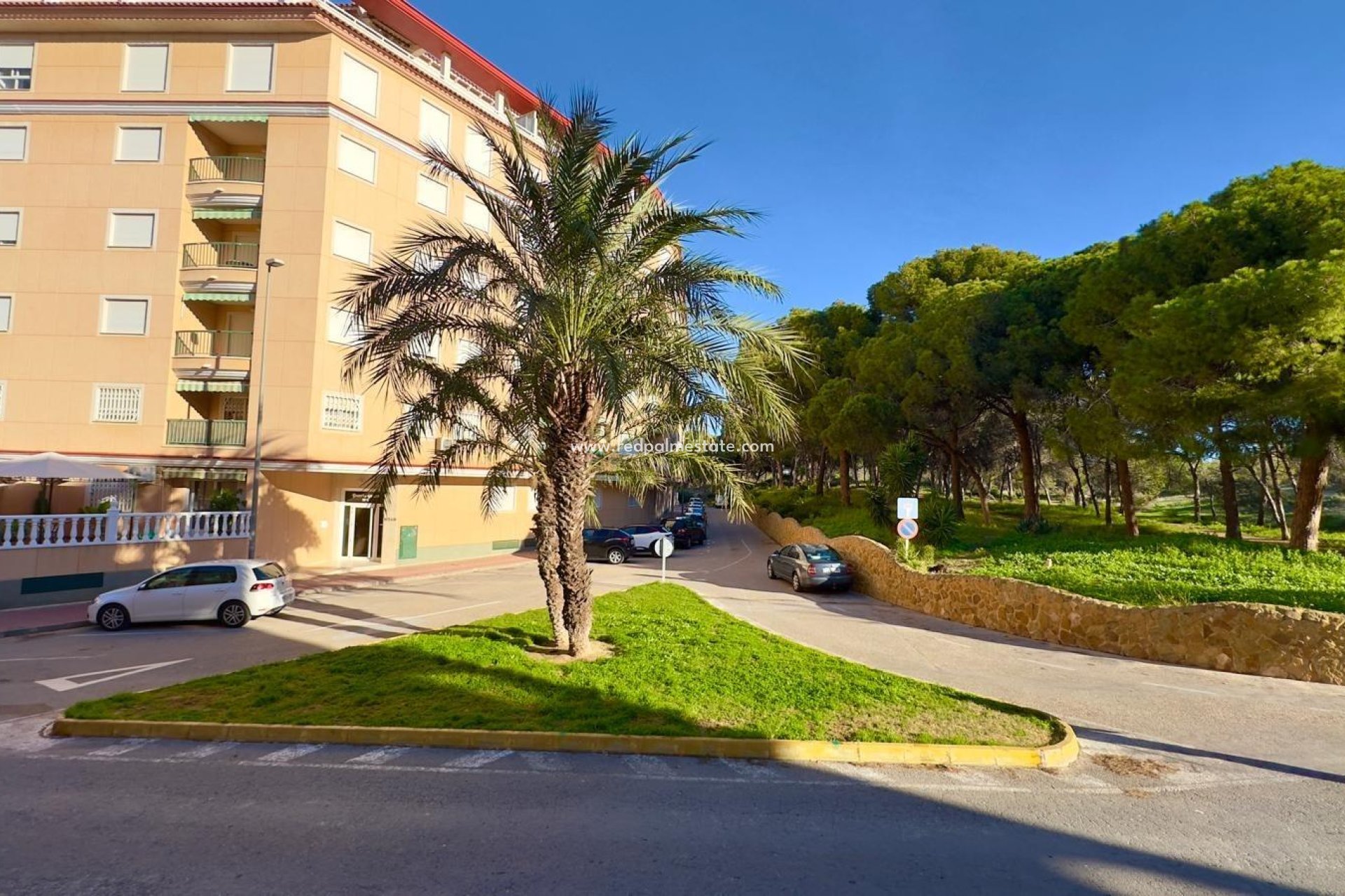 Reventa - Apartmentos -
Guardamar del Segura - Guardamar
